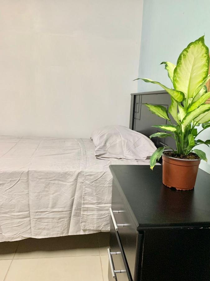 Global House Cr Hostel Backpackers Alajuela Habitacion Compartida 2 Camas Por Habitacion 외부 사진
