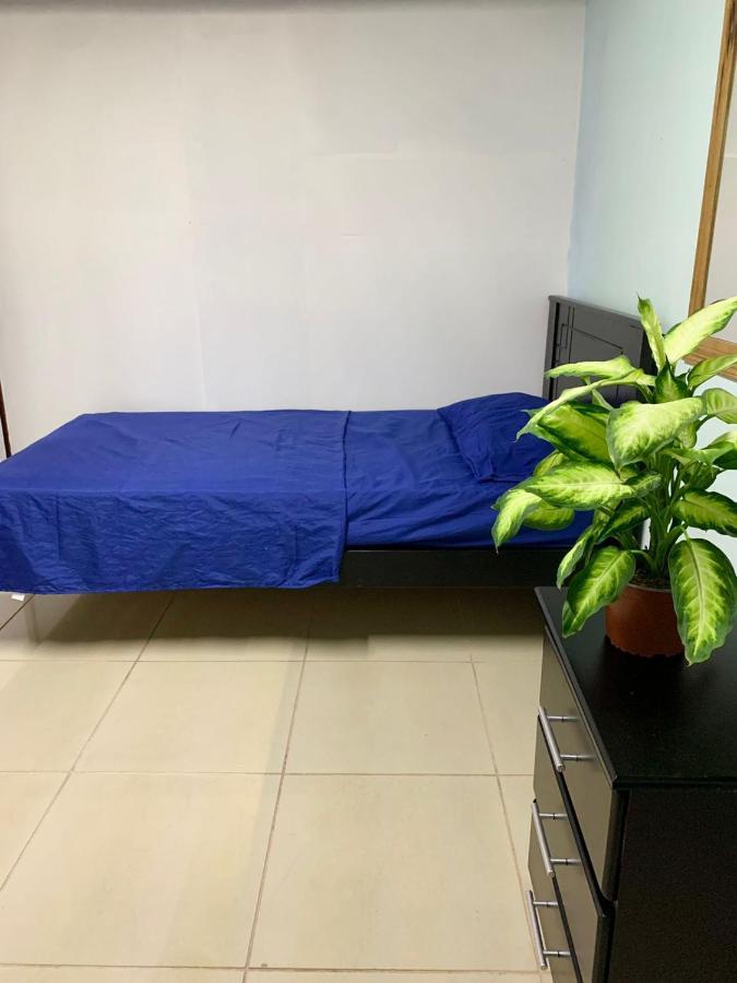 Global House Cr Hostel Backpackers Alajuela Habitacion Compartida 2 Camas Por Habitacion 외부 사진